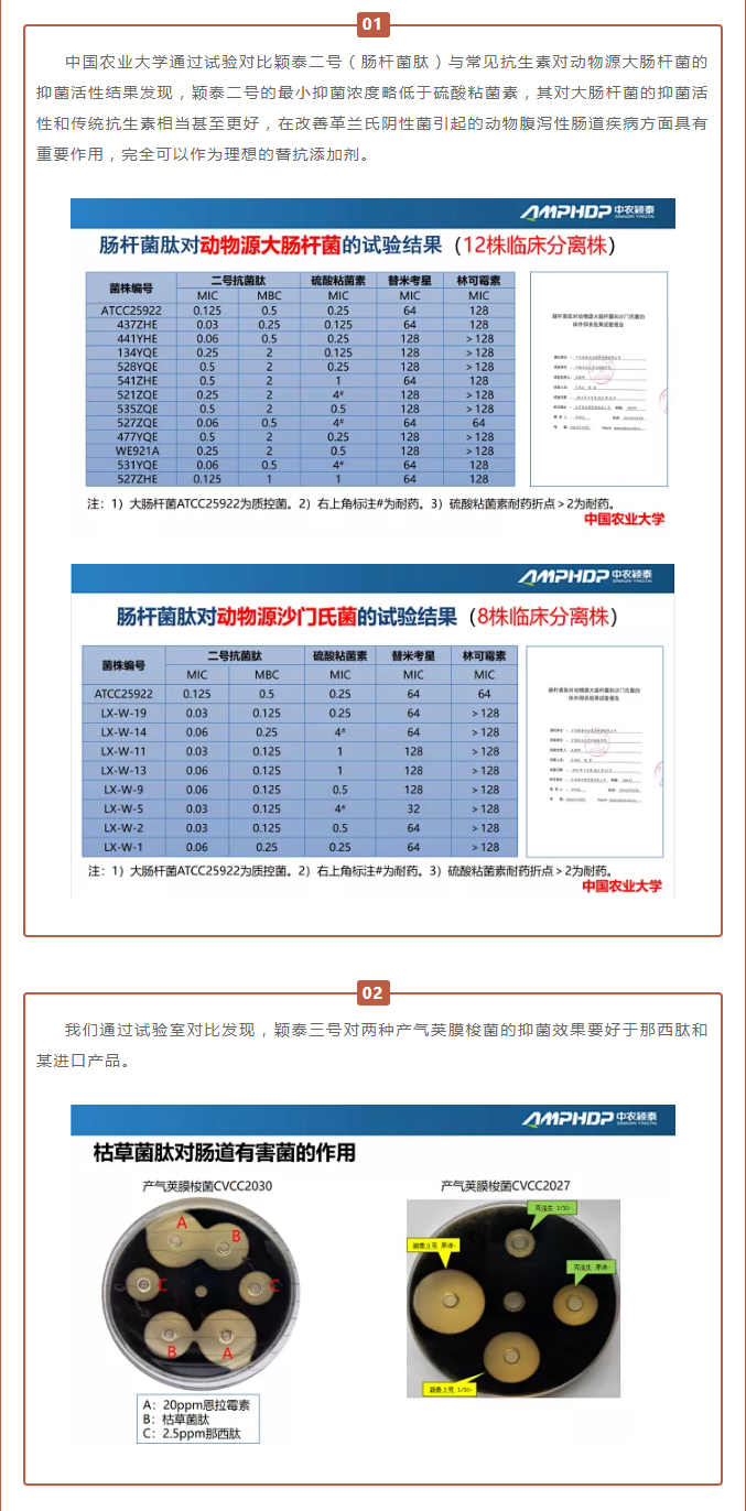 中農穎泰-助力河南省飼料工業(yè)協(xié)會2021年度峰會_03